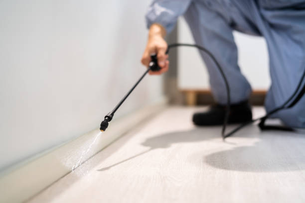 Professional exterminator conducting IPM assessment in Mount Orab